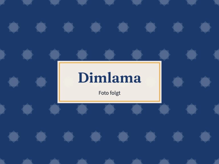 Platzhalter: Dimlama