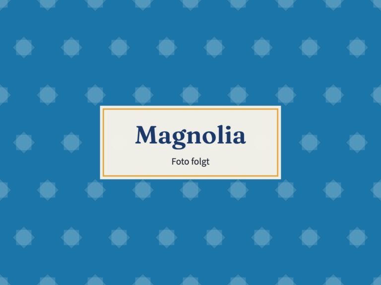 Platzhalter: Magnolia