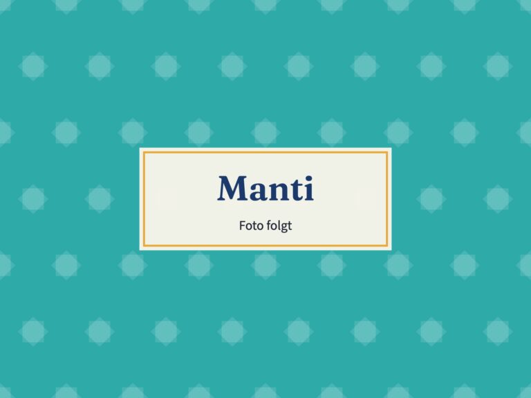 Platzhalter: Manti