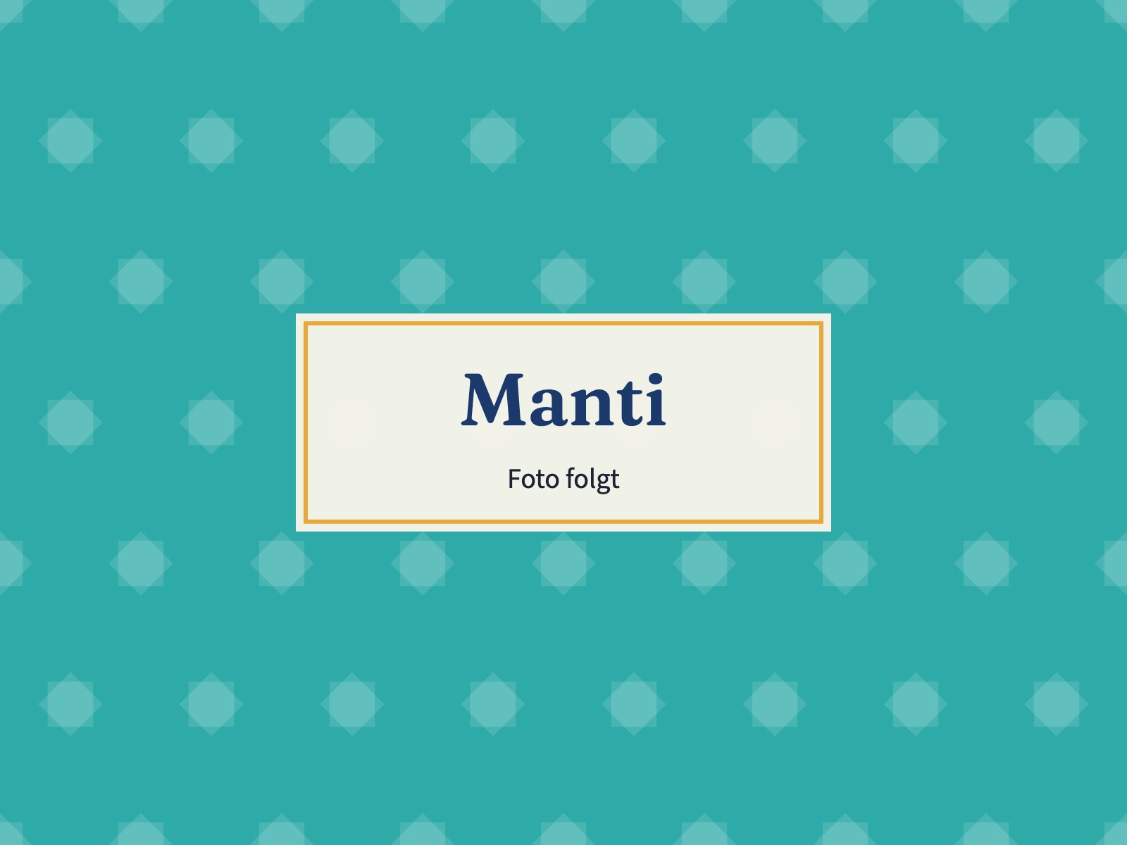 Platzhalter: Manti