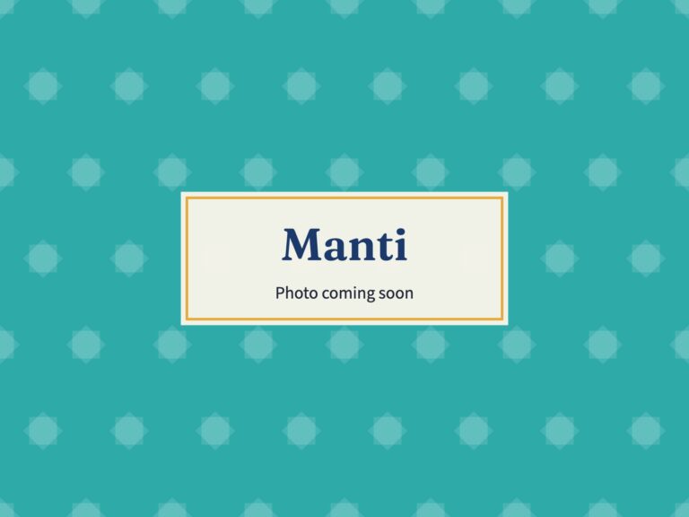 Placeholder: Manti