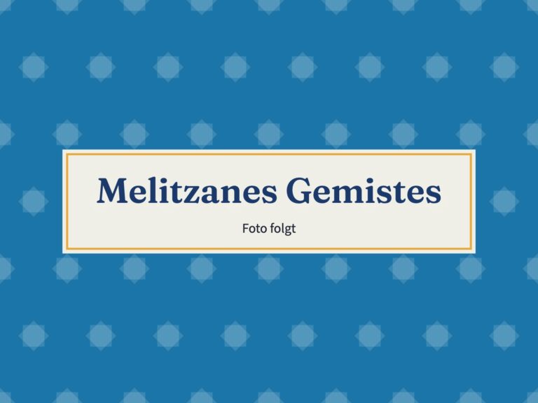 Platzhalter: Melitzanes Gemistes